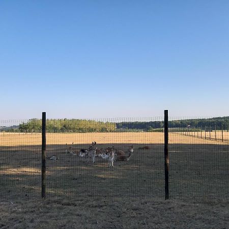 Lemen Huis Houwaart Tielt-Winge Экстерьер фото