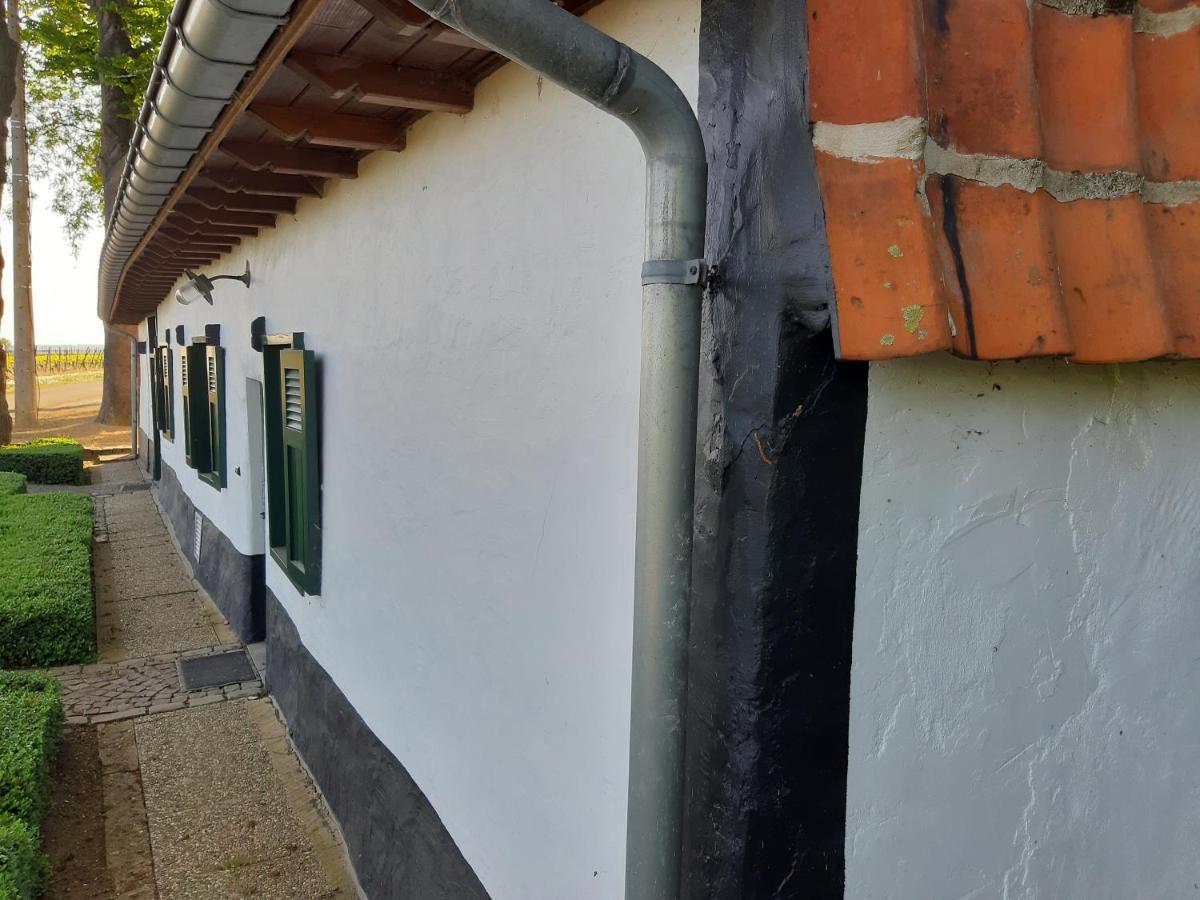 Lemen Huis Houwaart Tielt-Winge Экстерьер фото